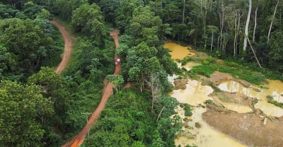 Ghana Ta Haramta Hakar Ma’adinai A Gandunan Dajin  Data Kebe,Published: December 11, 2025 at 9:48 PM | By: Bala Hassan