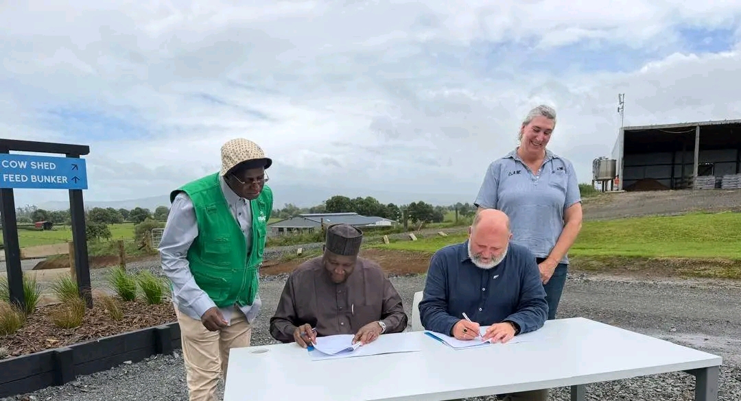 Gwamnatin Gombe Ta Kulla Yarjejeniyar Da New ZealandPublished: February 4, 2026 at 9:47 AM | By: Aliyu Bala Gerengi